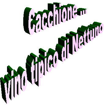 Cacchione ...
vino tipico di Nettuno