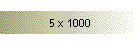 5 x 1000