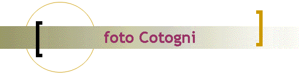 foto Cotogni