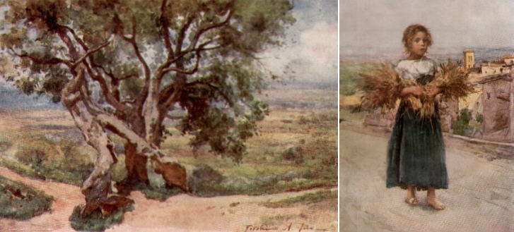 An olive tree and a gleaner in the Campagna near Tivoli