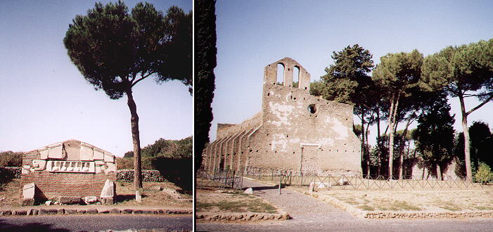 Pines in Via Appia Antica