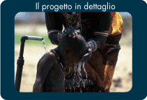 progetti idrici