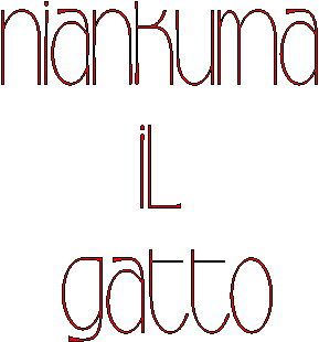 Niankuma   il   gatto