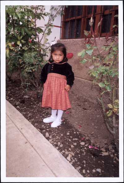 VIRNA - PERU'