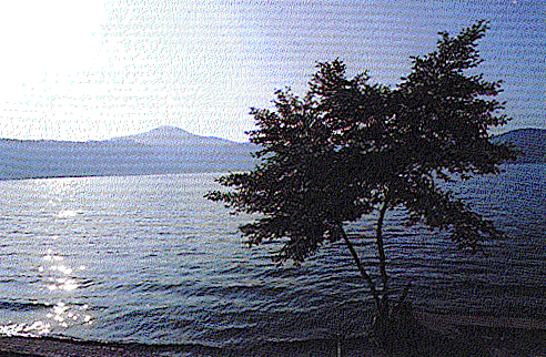 LagoCastelGandolfo.gif (105372 byte)