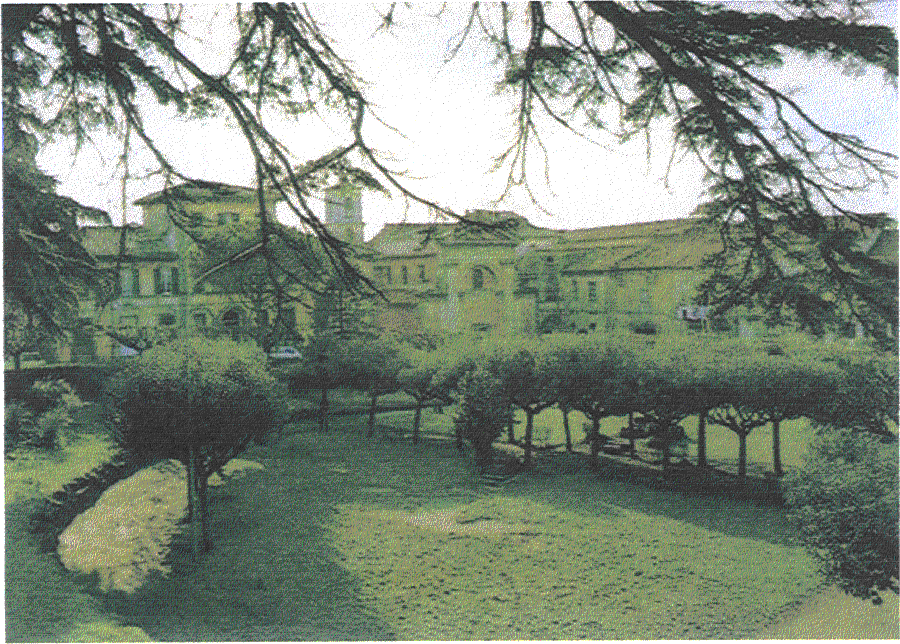 Parco.gif (269226 byte)