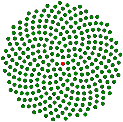 Modello infiorescenza margherita