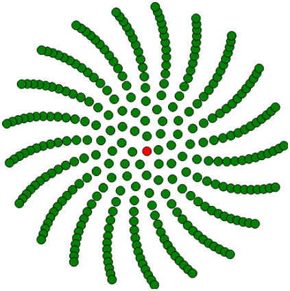 Modello infiorescenza della margherita