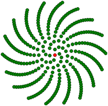 Modello infiorescenza della margherita