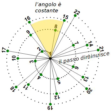 Spirale di Vogel per la fillotassi del capolino del girasole