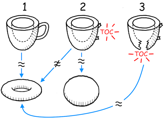 Topologia della tazza