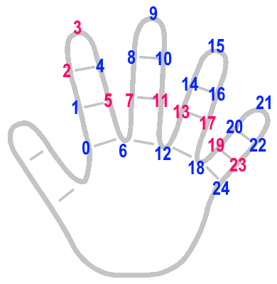 Numeri primi nella mano