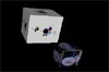 Fai click per visualizzare la scena 3D