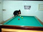 GIOCO A BILIARDO