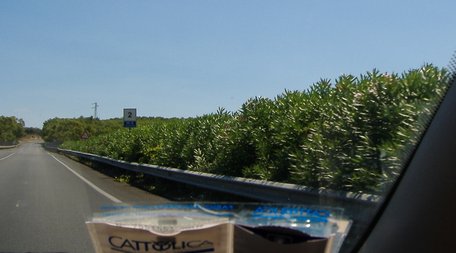 Viaggio