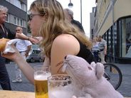COLONIA: Laura, il Sorcio e la birra