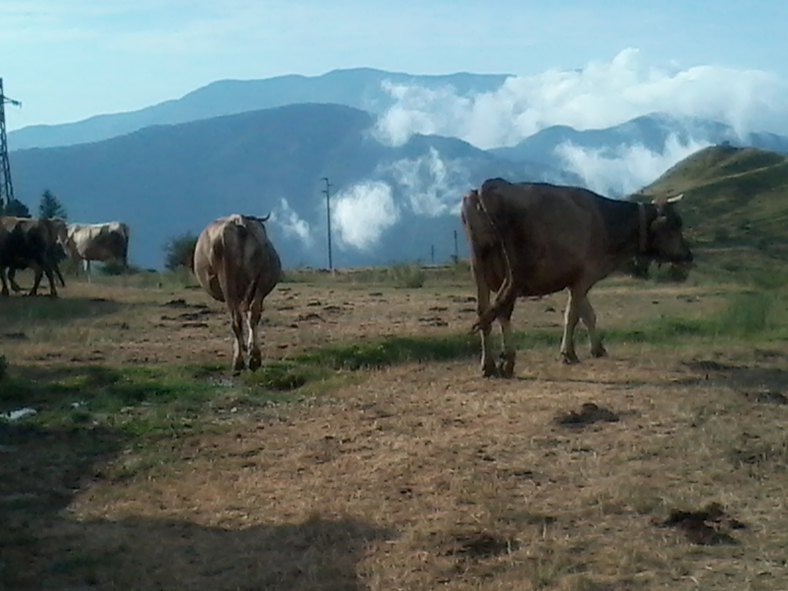 Paolo Quarantelli malga di perlezzi gara Gau fidal running