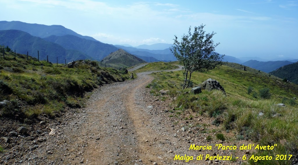 Paolo Quarantelli malga di perlezzi gara Gau fidal running