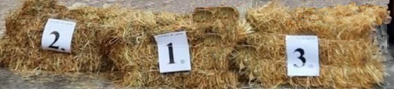 Paolo Quarantelli gara A croxe de cursa crocefieschi Gau fidal running