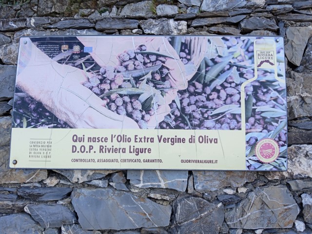 SuperLeivi sopra alla splendida Chiavari Paolo Quarantelli Gau fidal running podismo