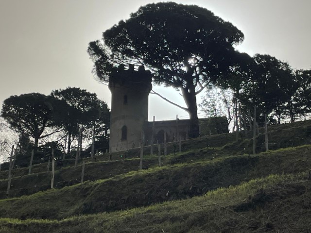 Paolo Quarantelli gara corsa Monilia Run Gau fidal running podismo Moneglia