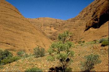 Kata Tjuta - Gorge