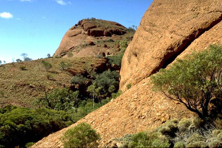 Valley of the Winds -the bush-