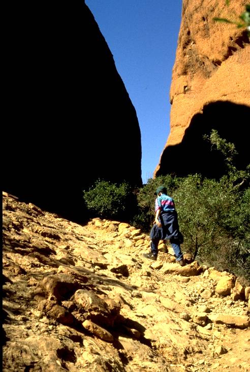Kata Tjuta - on the trail