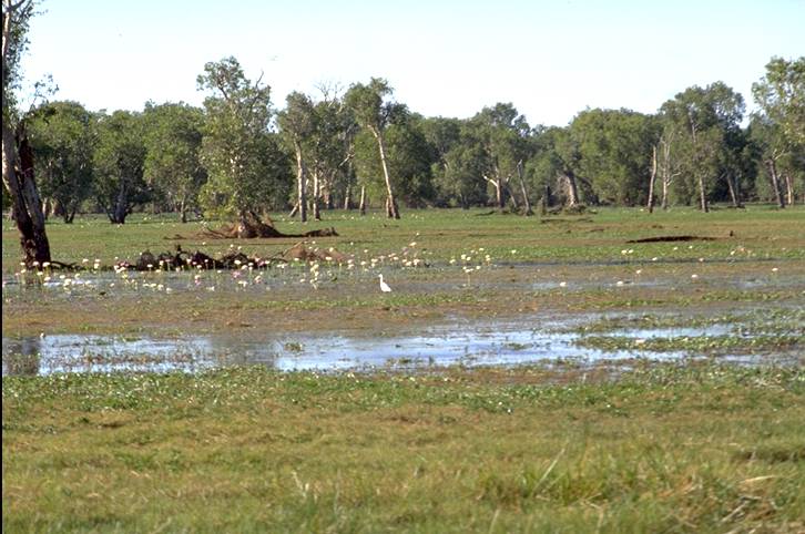 Kakadu National Park