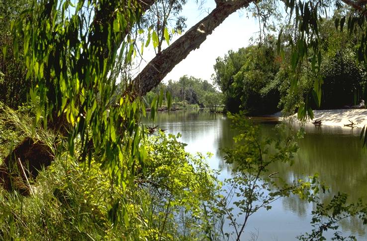 East Alligator River