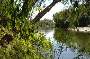 East Alligator River