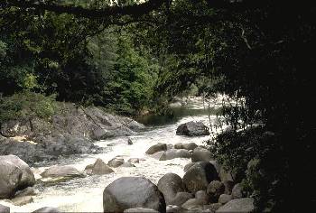 Mossman Gorge