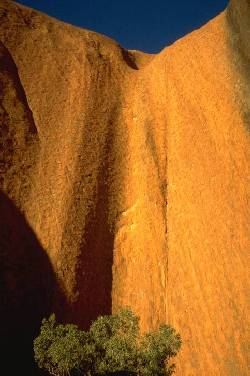 Uluru - Ayers Rock