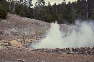 geyser 