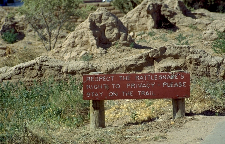 Rattlesnake's Privacy