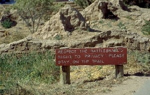 Rattlesnake's Privacy