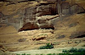 Canyon De Chelly