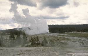 Old faithful 
