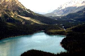 peyto