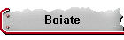 Boiate